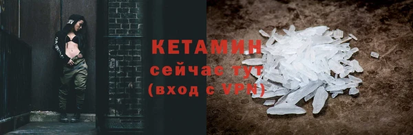 шишки Горно-Алтайск