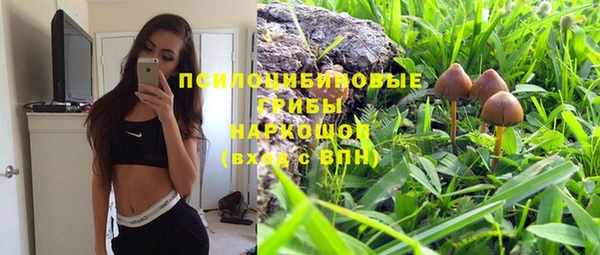 твердый Покровск