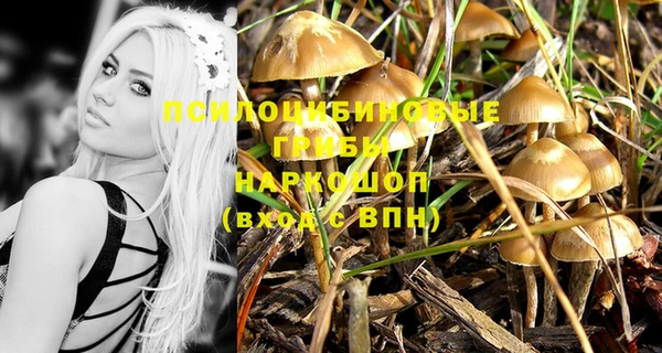 mdma Гусь-Хрустальный