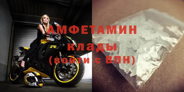 шишки Горно-Алтайск